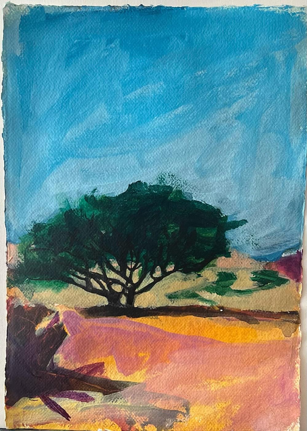 BEHROO BAGHERI Landscapes