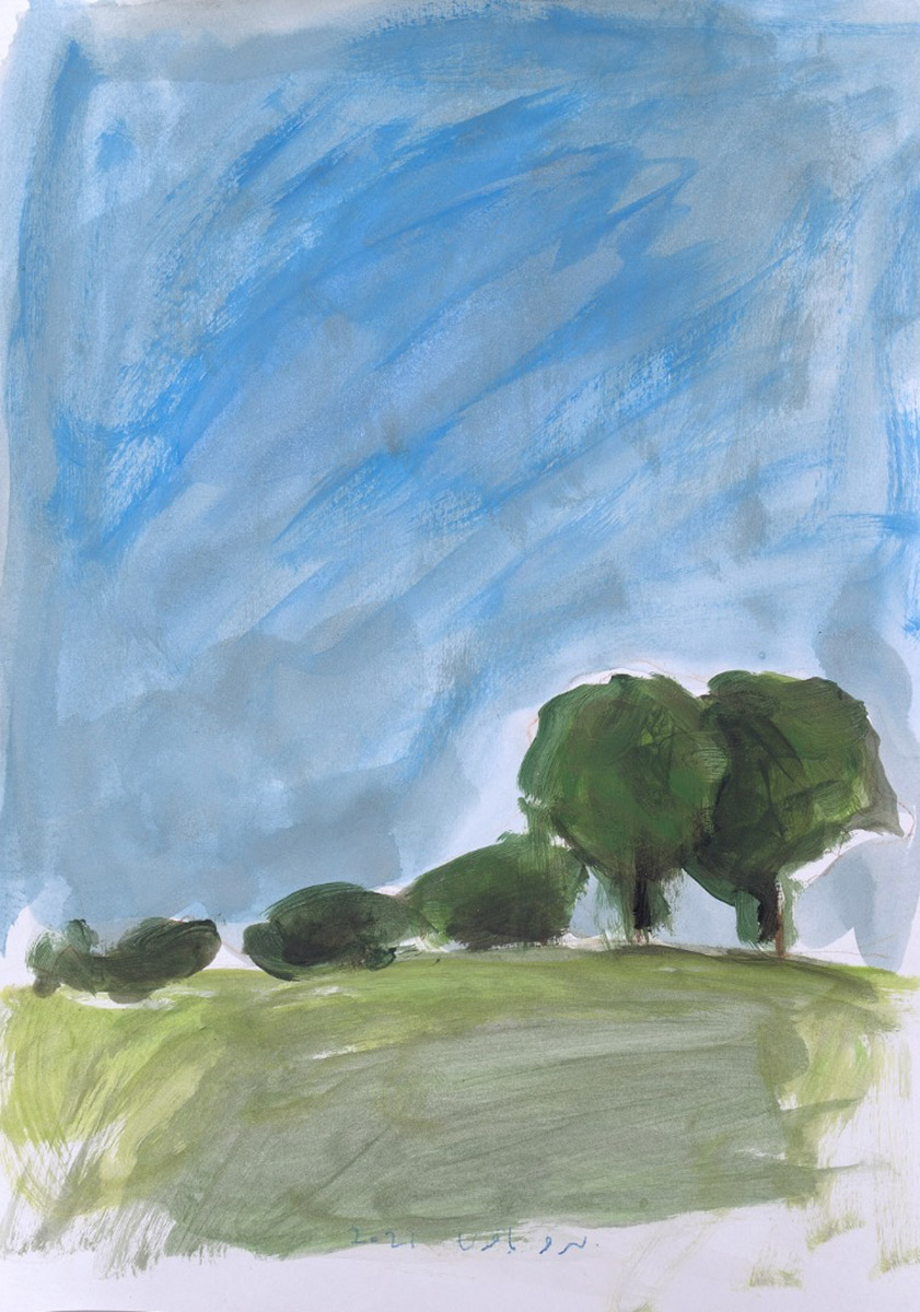 BEHROO BAGHERI Landscapes